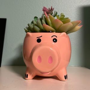 Disney succulent pot